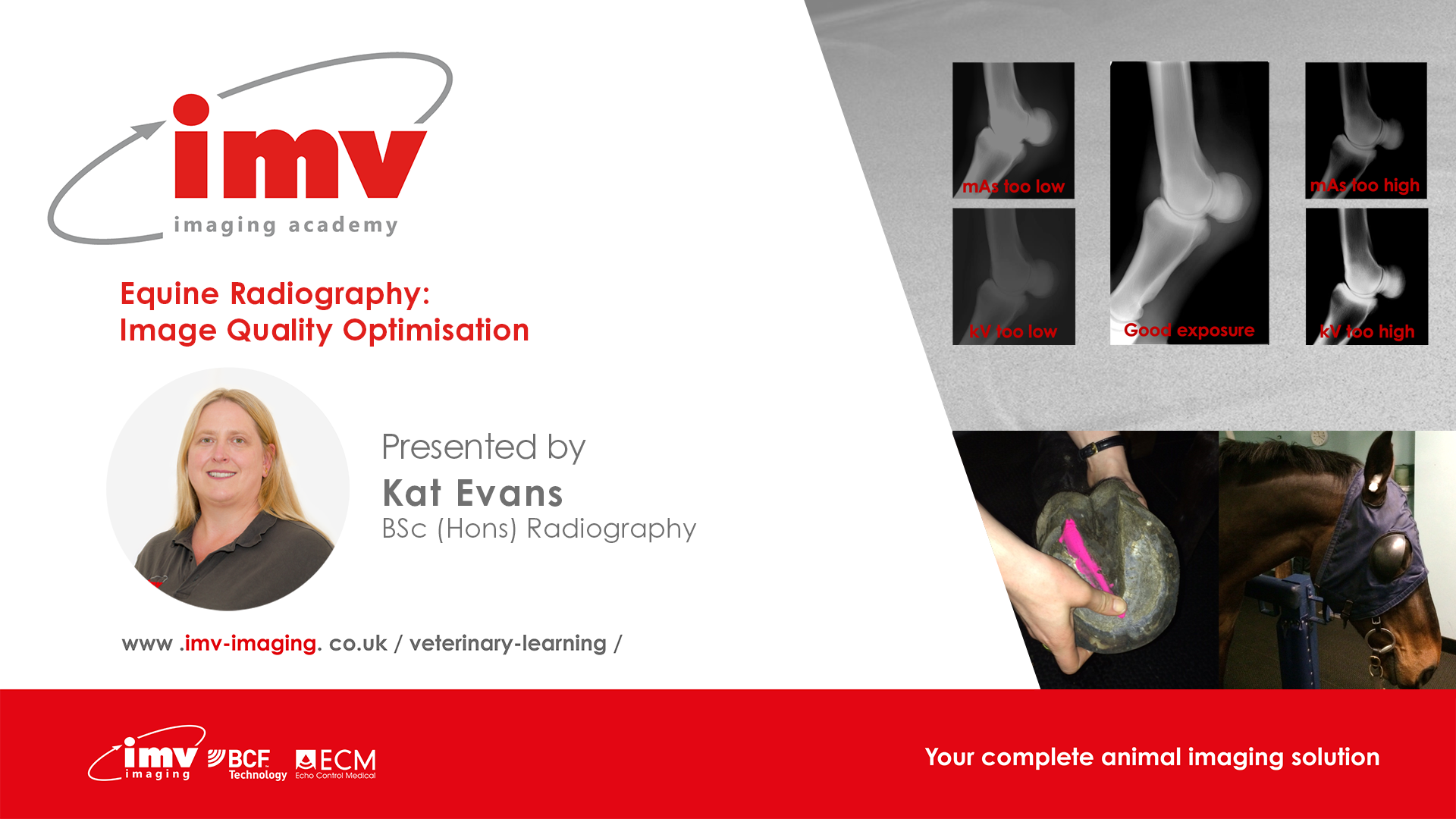 Equine Radiography image quality optimization IMV imaging USA