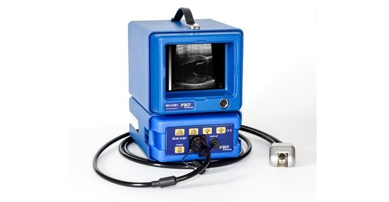Ovi-Scan sheep ultrasound scanner