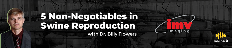 funny dating profile descriptions