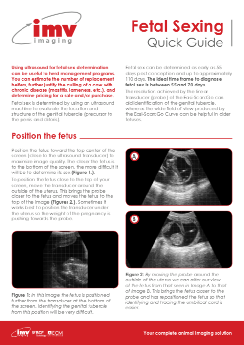 Bovine fetal sexing quick guide