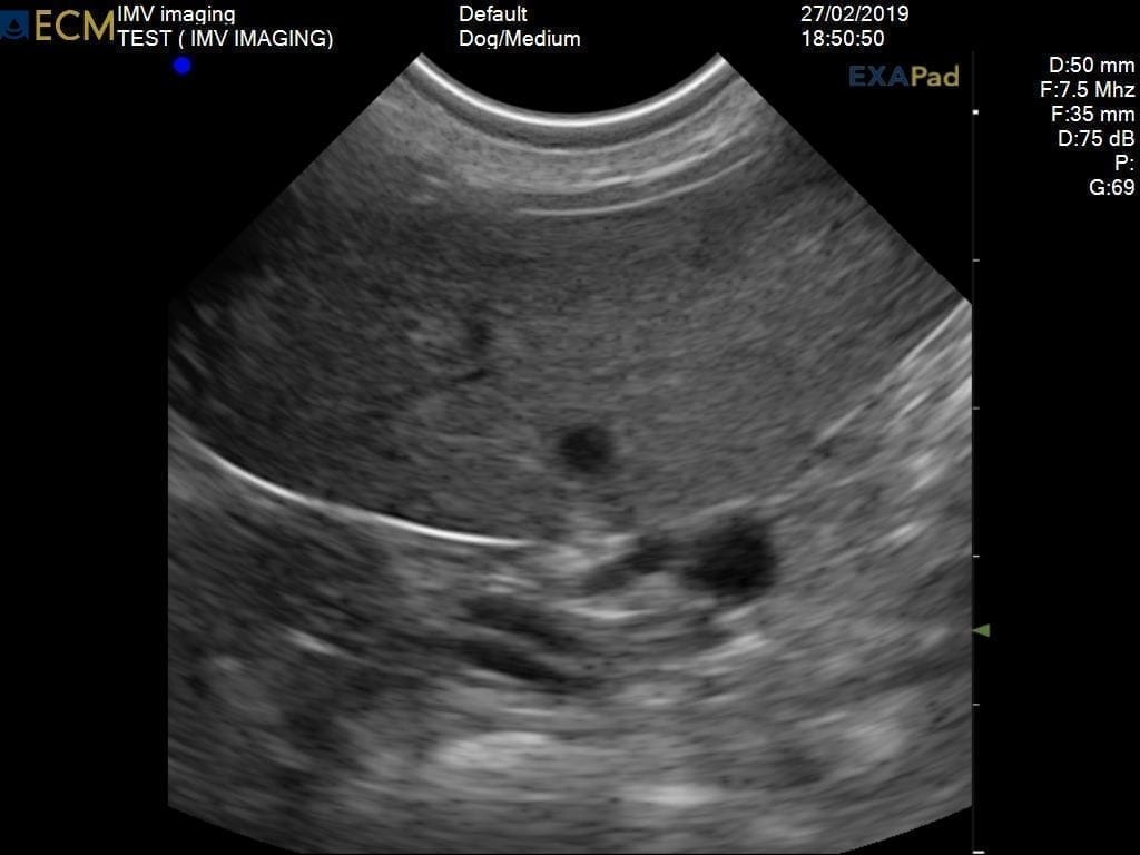 ExaPad Veterinary Ultrasound Scanner SA SPLEEN