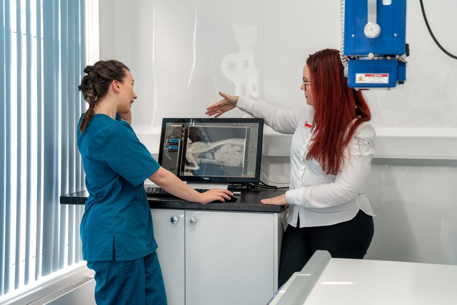 Small Animal Xray IMV Imaging