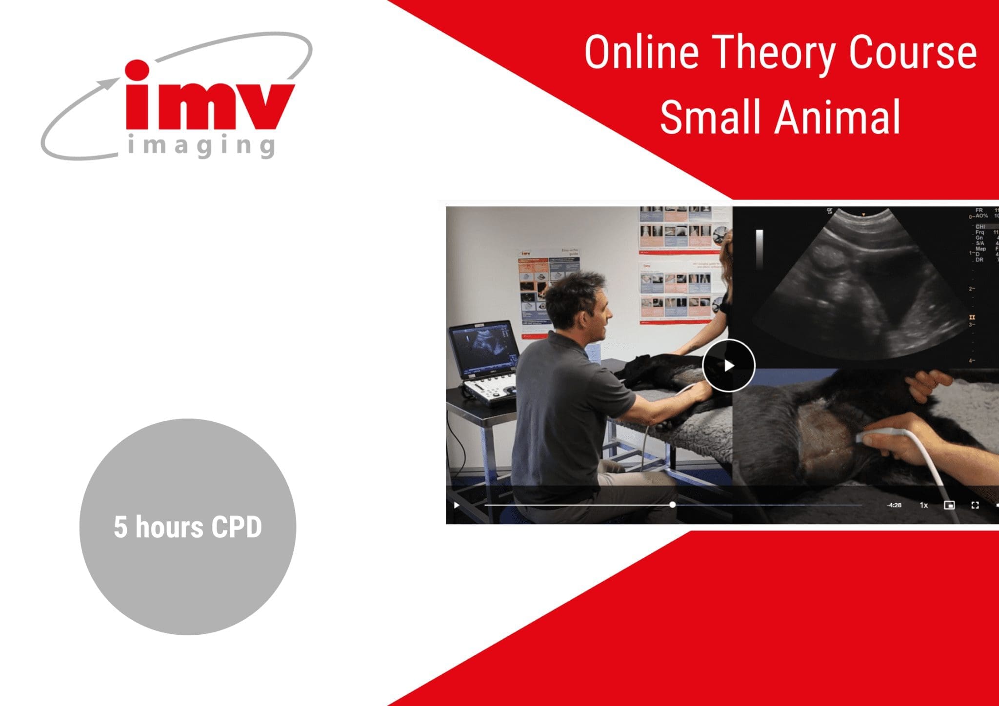 Small animal veterinary CPD courses | IMV Imaging