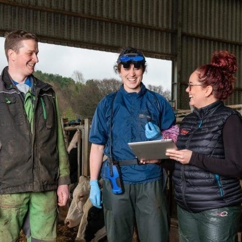 Veterinary CPD | IMV Imaging