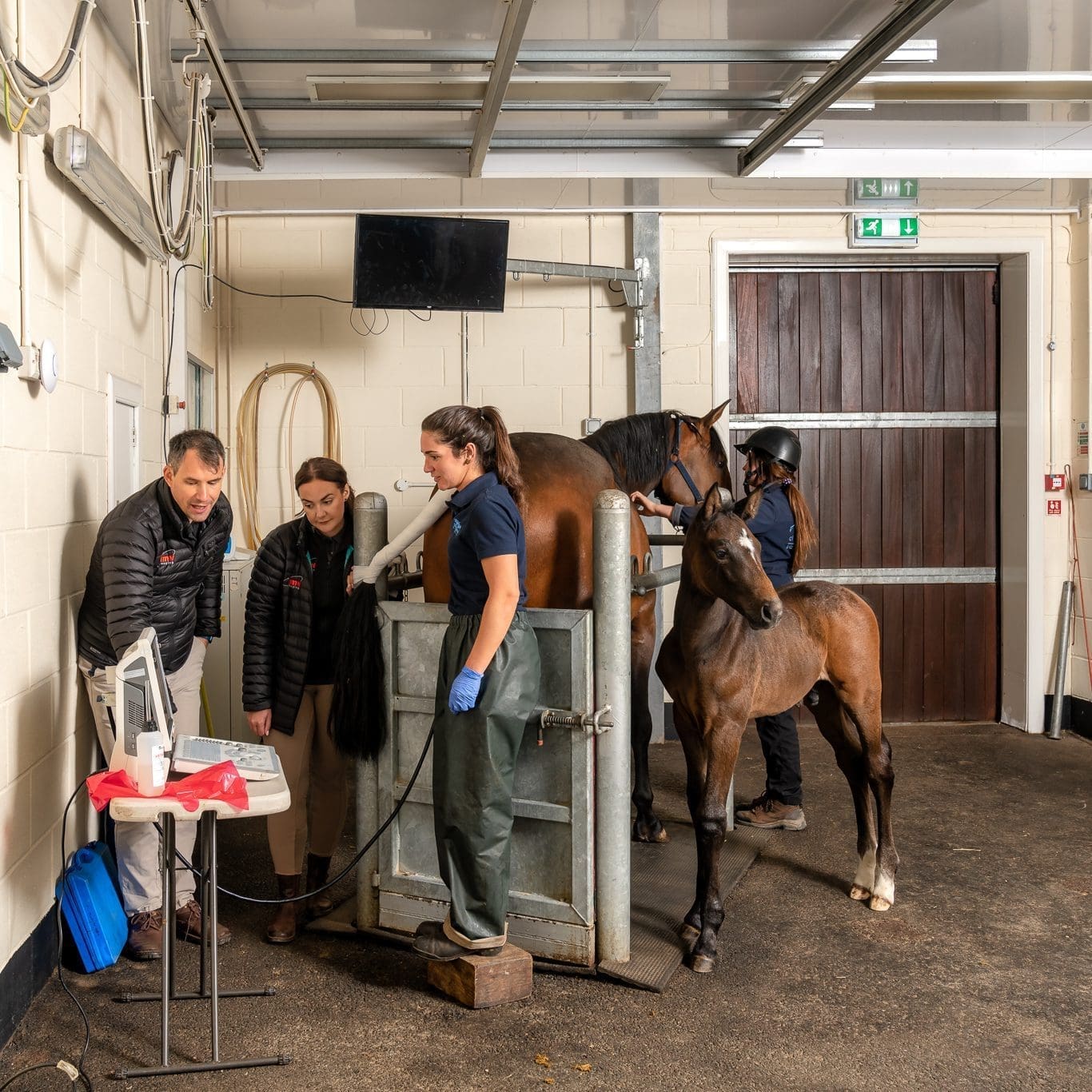 Veterinary Learning Resources IMV Imaging