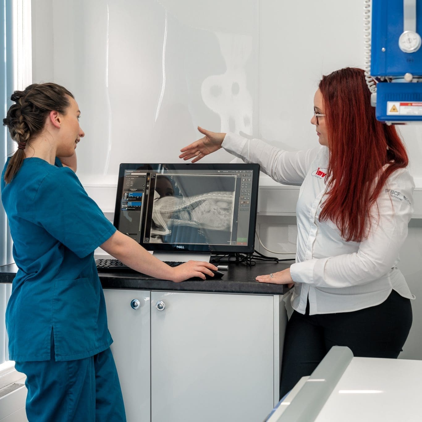 Veterinary Learning Resources IMV Imaging