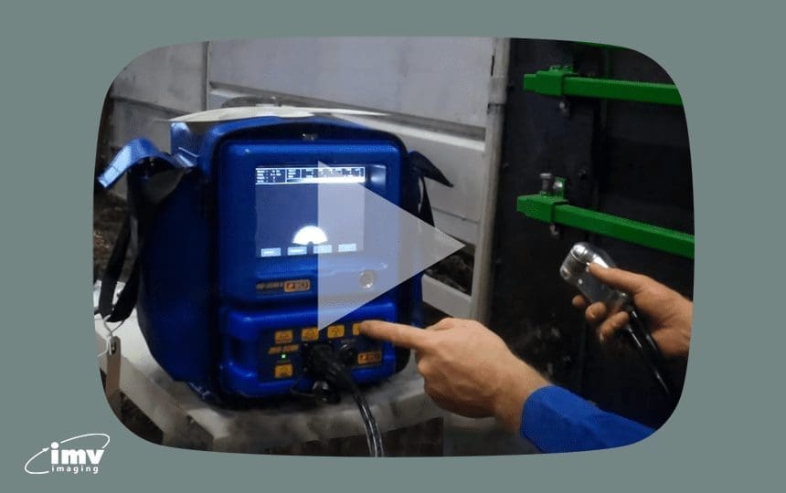 Sheep scanning video 3 of 4 OviScan settings explained IMV Imaging