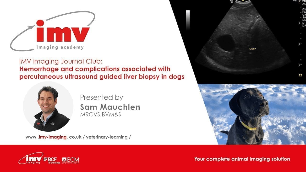 Hemorrhage & complications Percutaneous Dogs Liver Biopsy