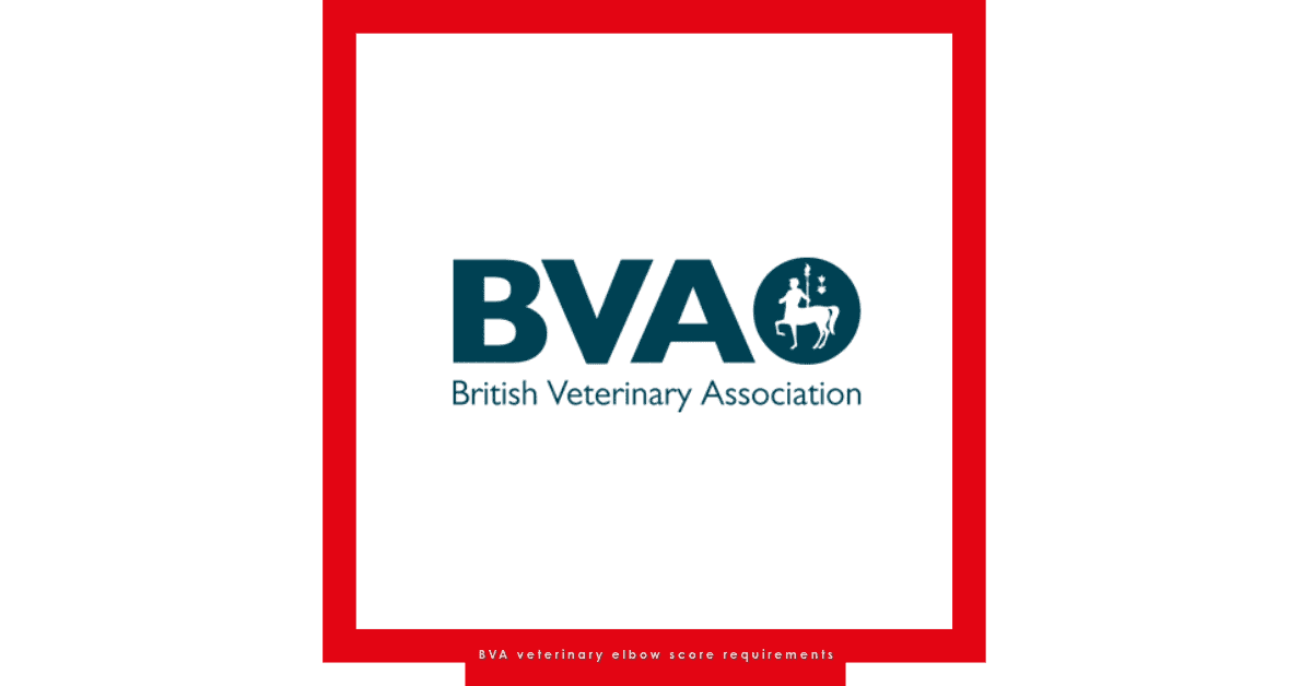 BVA Veterinary Elbow Score Requirements IMV Imaging