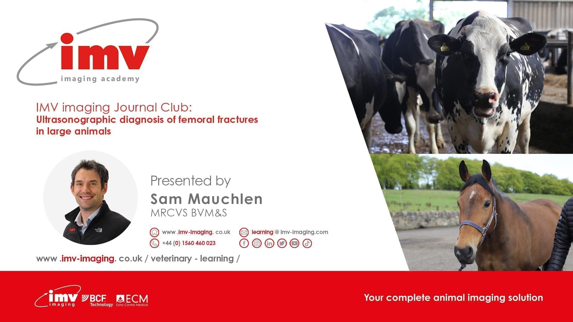 Ultrasonographic Diagnosis Femoral Fractures IMV Imaging