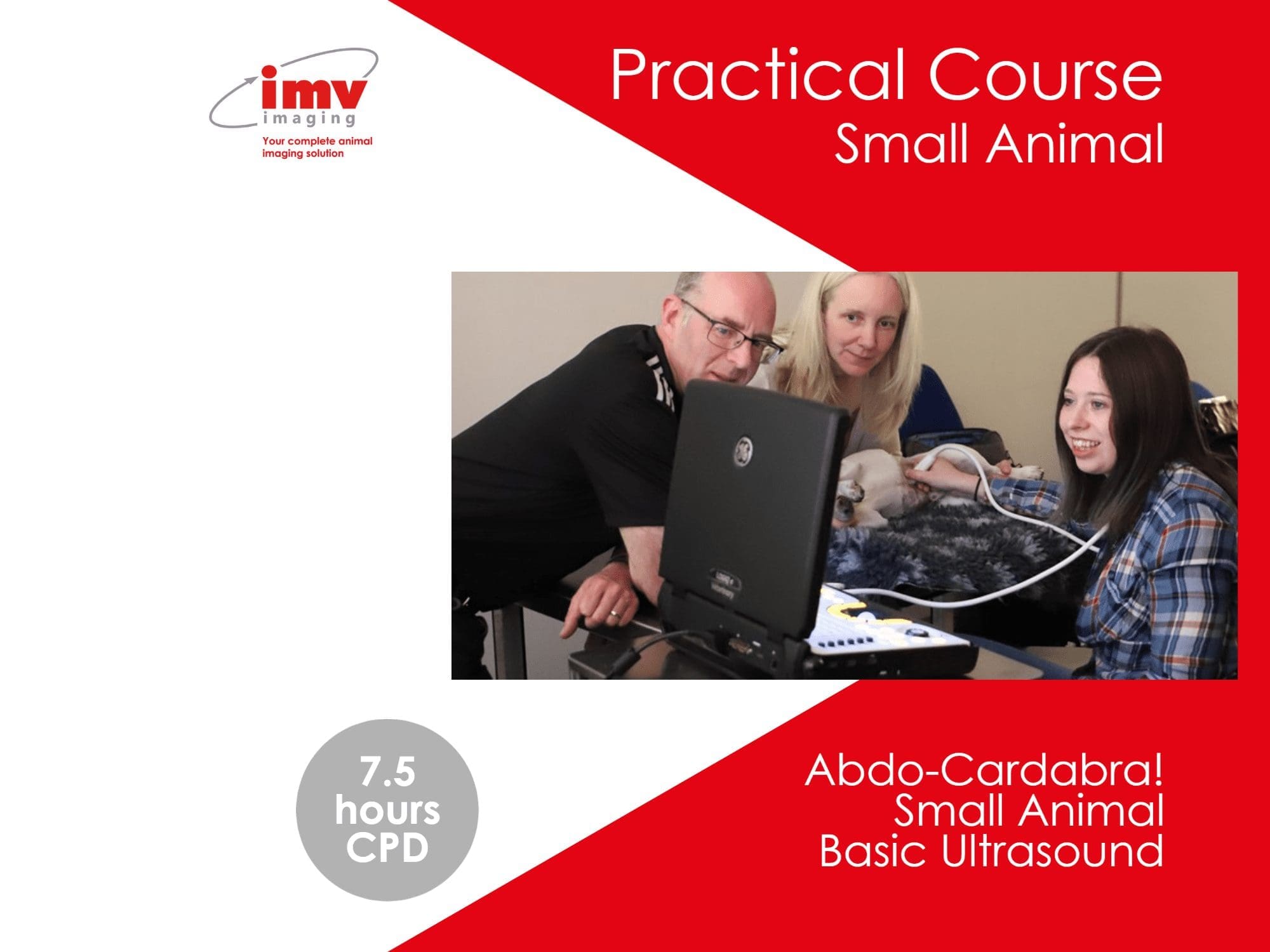 Small animal veterinary CPD courses | IMV Imaging