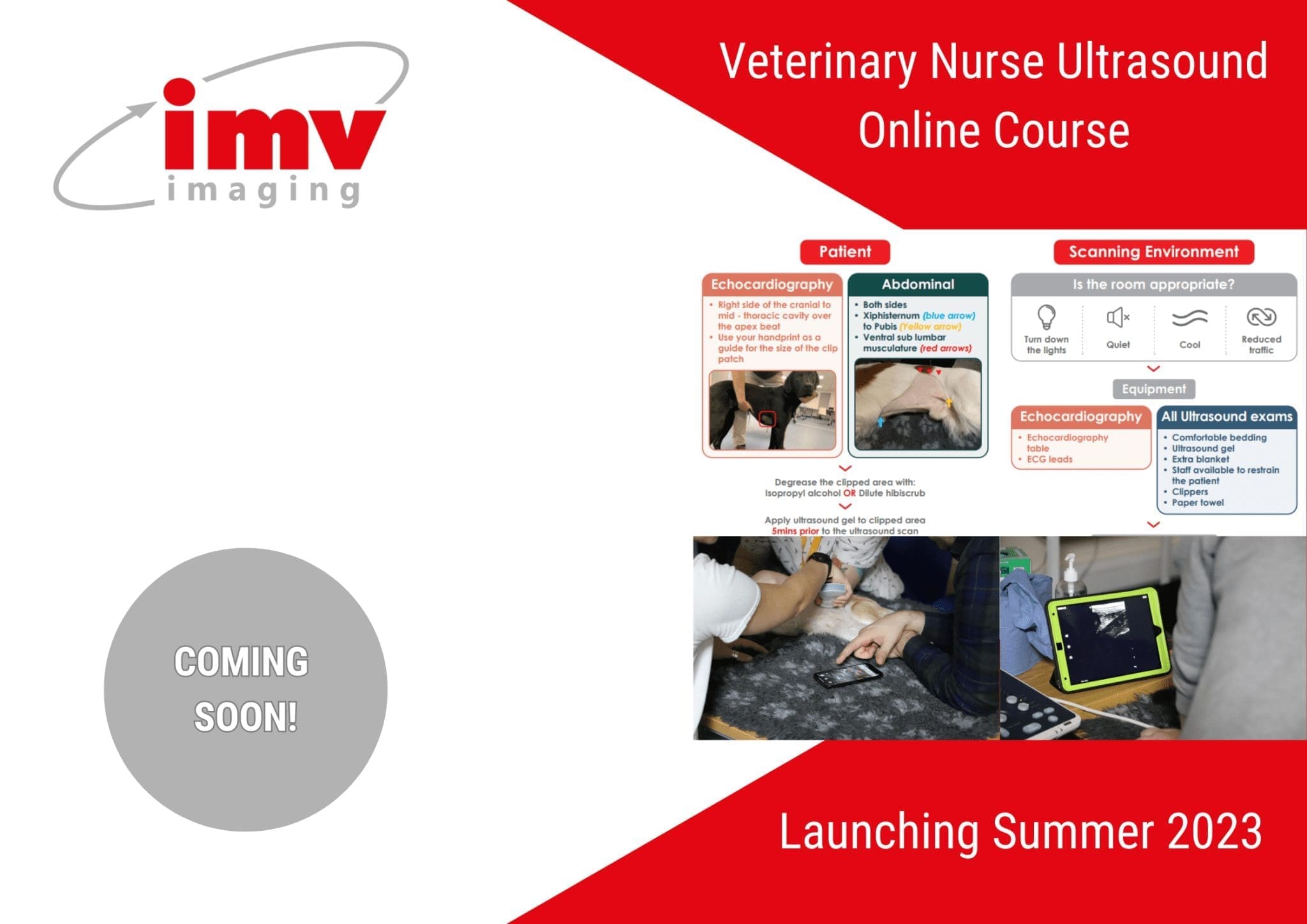 Veterinary Nurse Ultrasound Online Course