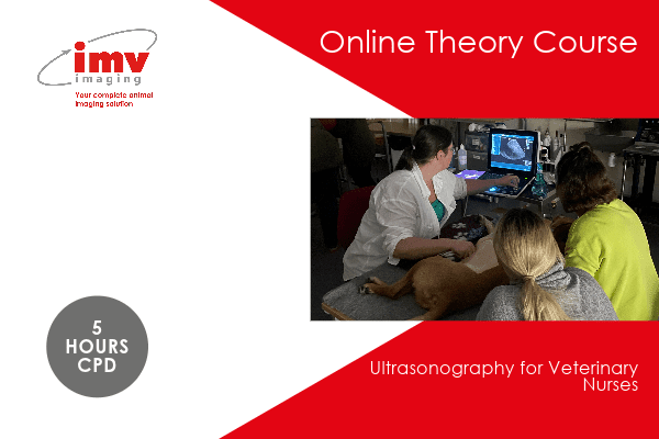 Online - ultrasongraphy for vet nurses