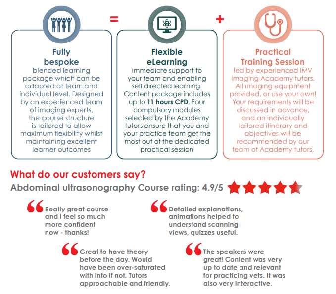 Bespoke in practice training