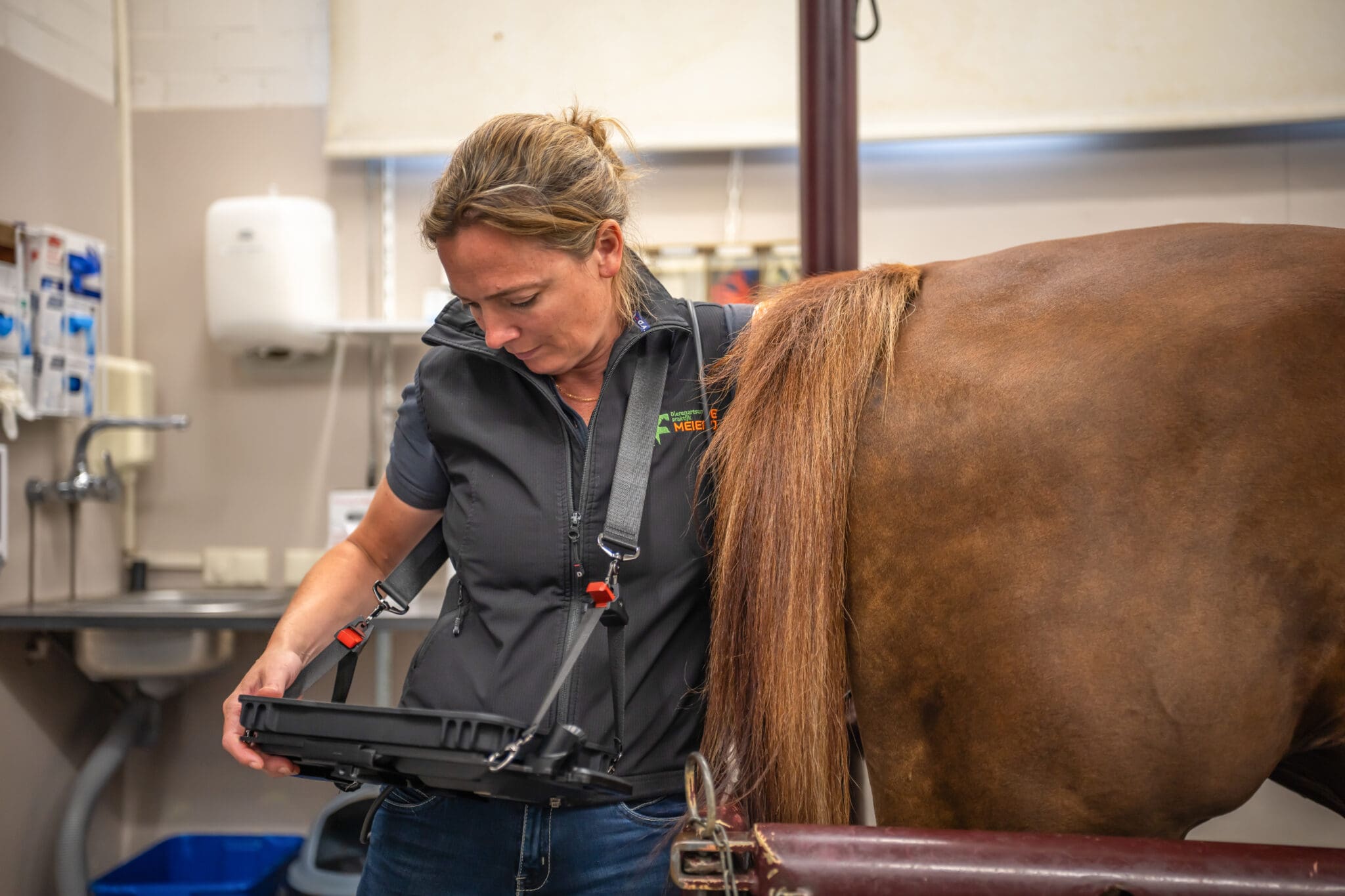 Exapad micro veterinary scanner