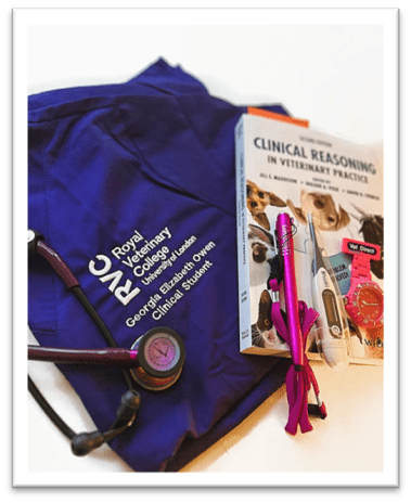 Georgia's clinical resources and RVC kit
