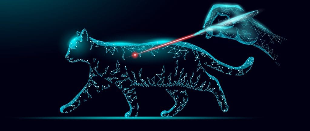 Laser on cat