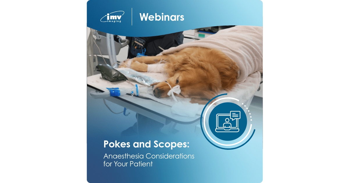 Small Animal Webinar Pokes and Scopes Anaesthesia Considerations for Your Patient