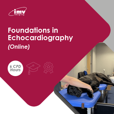 Foundations in echocardiography course