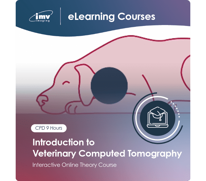 CT online course
