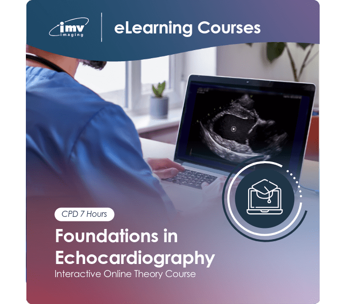 Foundations in echocardiography course