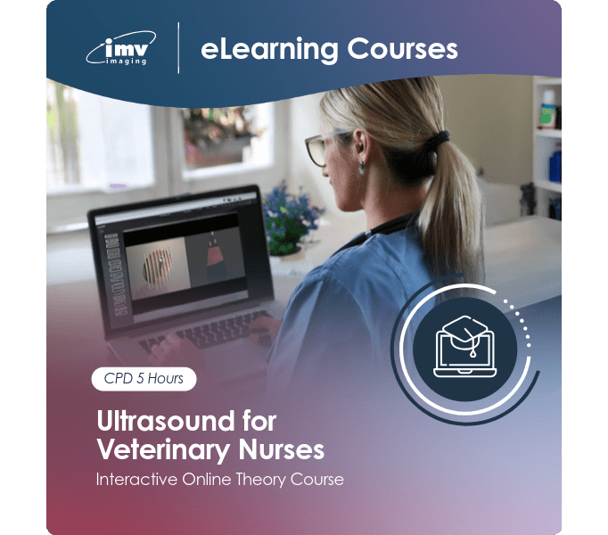Ultrasound for Veterinary Nurses course