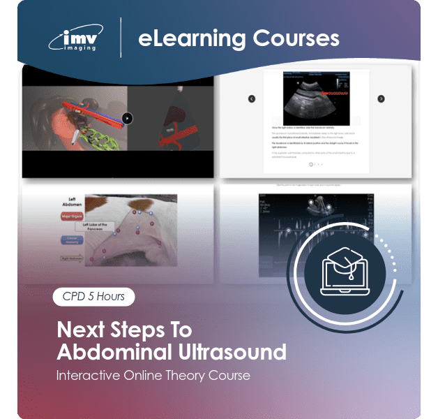 Next Steps to Abdominal Ultrasound Course